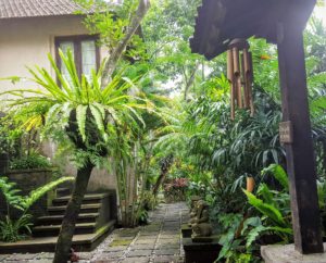 Jews in Bali villa pathway